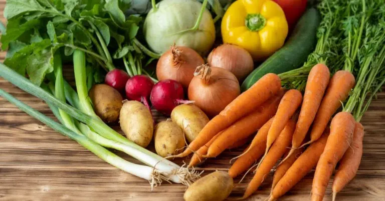 Vegan Leben: Tipps zum Umstieg auf vegane Ernährung